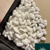 gabapentin 600mg tablet - Buy Premium pharmaceutical products online