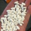 RP 15s - Buy Premium pharmaceutical products online